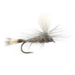 Hares Ear Parachute