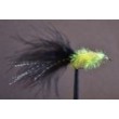 Black Cat Fritz Gladiator