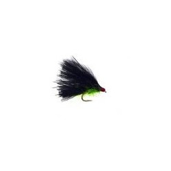 Black Straggle Cat