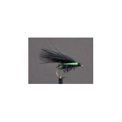 Black Straggle Cormorant