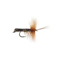 HR Dark Brown