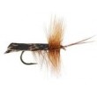 HR Dark Brown