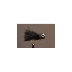 Booby  Cormorant