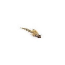 Brown Sculpin