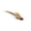 Brown Sculpin