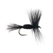 Humpy Black