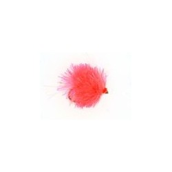 Coral Blob