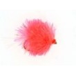 Coral Blob