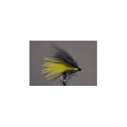 Cormorant Black & Yellow