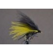 Cormorant Black & Yellow