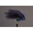 Cormorant Black Straggle