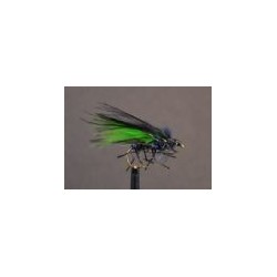 Cormorant Viva