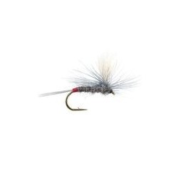 Iron Blue Dun Parachute