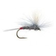 Iron Blue Dun Parachute
