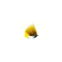 Dawsons Olive