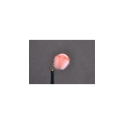 Egg  Shrimp Pink