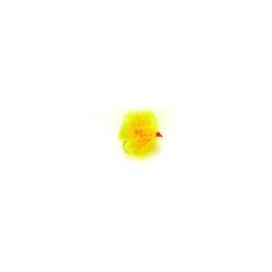 FAB Sunburst Blob