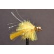 Goldhead Yellow Blob