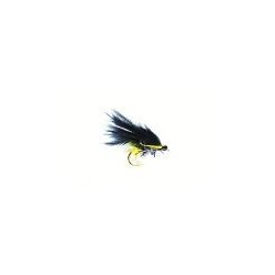 Green UV Hotspot Cormorant