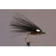 JC Cormorant