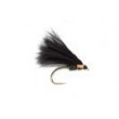 KJ Clifton Cormorant