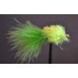 Lime Fritz Goldhead