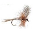 March Brown