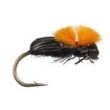 Beetle
