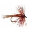 Midge Brown