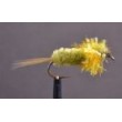Montana Fritz Damselfly