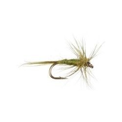 Midge Olive