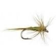 Midge Olive