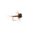 Neutral Density Red Nemo Booby