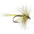 Mosquito Olive