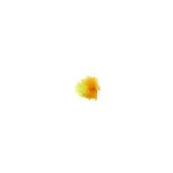 Neutral Density Tequila Blob Booby