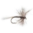 Mosquito