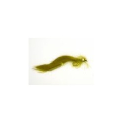 Olive Bunny Leech