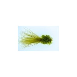 Olive Fritz Goldhead