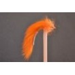 Orange Bunny Leech