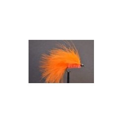 Orange Cats Whisker