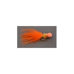 Orange Fritz Booby