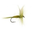 Olive Dun