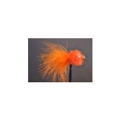 Orange Fritz Goldhead