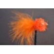 Orange Fritz Goldhead