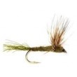 Olive Sparkle Dun