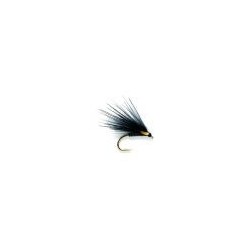 Quill Flashback Cormorant
