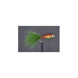 Rainbow Trout