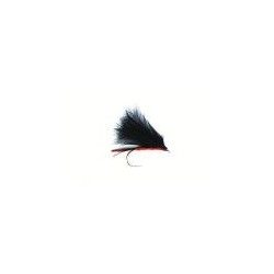 Red Cormorant
