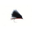 Red Cormorant