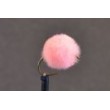 Shrimp Pink Egg